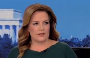 Mollie Hemingway: Media is Gaslighting the Country With Kamala Harris Just Like They Did With Biden (VIDEO) | The Gateway Pundit