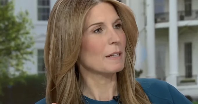 MSNBC’s Nicolle Wallace Declares Kamala Harris is Running a ‘Flawless Campaign’ (VIDEO) | The Gateway Pundit