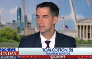 Senator Tom Cotton Blasts Tim Walz for His Terrible Record on China (VIDEO) | The Gateway Pundit