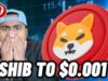 Shiba Inu’s Rising Burn Rate Could Propel Price to $0.001 as P2E Meme Coin Presale Reaches $6 Million