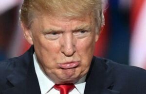 Trump Is So Mentally Gone That His Team Can’t Tell Him He’s Doing Debate Prep