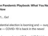 Dr. McCullough on The Election Pandemic Playbook: What You Need to Know Now | The Gateway Pundit