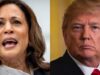 Kamala Campaign Privately Admit They Are ‘Clear Underdogs,’ Trump Supporter at Highest Since 2020 | The Gateway Pundit