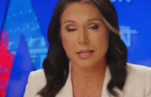 Tulsi Gabbard Tried To Clean Up Trump’s Arlington Scandal And It Didn’t Go Great