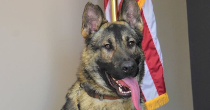 Missouri Police Officer Charged in the Death of His K-9 Partner | The Gateway Pundit