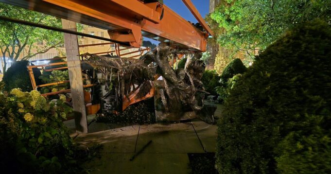 St. Louis Man Arrested After Destroying Angel of Harmony Statue at the St. Louis Basilica with a Boom Lift | The Gateway Pundit