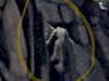 MOUNTAIN GIANT? Colorado Hikers Snap Picture of Apparent 20-Foot Creature Scaling the Side of a Cliff | The Gateway Pundit