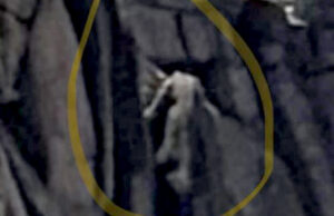 MOUNTAIN GIANT? Colorado Hikers Snap Picture of Apparent 20-Foot Creature Scaling the Side of a Cliff | The Gateway Pundit