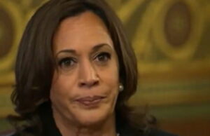 REPORT: Kamala Harris ‘Bleeding Support’ From Key Voter Blocs in Democrat Coalition | The Gateway Pundit