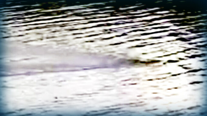 WATCH: Footage Suggests There Are Currently TWO Loch Ness Monsters | The Gateway Pundit