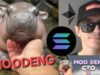 Moo Deng Price Prediction: Could This Trending Hippo-Inspired Meme Coin Reach New All-Time High?