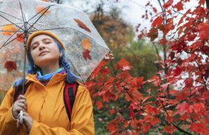 Your October 2024 Monthly Horoscope by Zodiac Sign Is Here