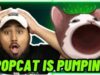 Popcat Pumps to New All-Time High, Surpassing $1B Market Cap – Should You Buy and Hold?
