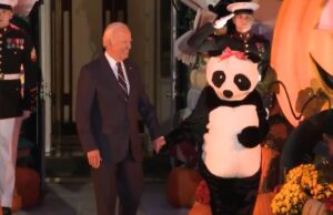 Jill Biden Shows Up to White House Halloween Celebration Dressed as a Giant Panda (VIDEO) | The Gateway Pundit