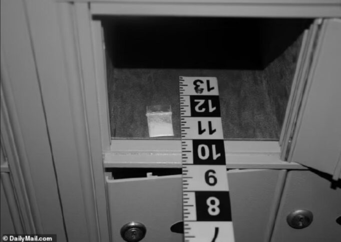 WATCH: Dan Bongino Reveals Shocking New Information About Biden White House Cocaine Scandal #CocaineGate | The Gateway Pundit