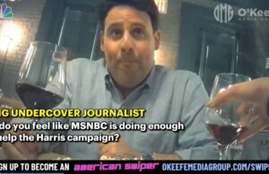 BREAKING: OMG: MSNBC Producer Admits Network is ‘Doing All They Can’ to Help Elect Kamala Harris (VIDEO) | The Gateway Pundit