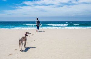 How to Move to Spain from the US: A Beginners Guide