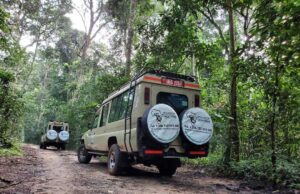 Reasons to Visit Lake Mburo National Park in Uganda