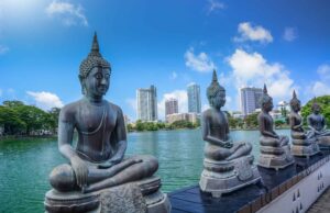 Best Day Tours From Colombo