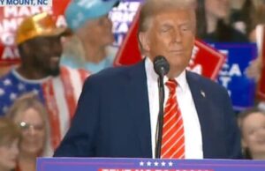 Trump Is Not Taking Kamala Harris’s Huge DC Crowd Well