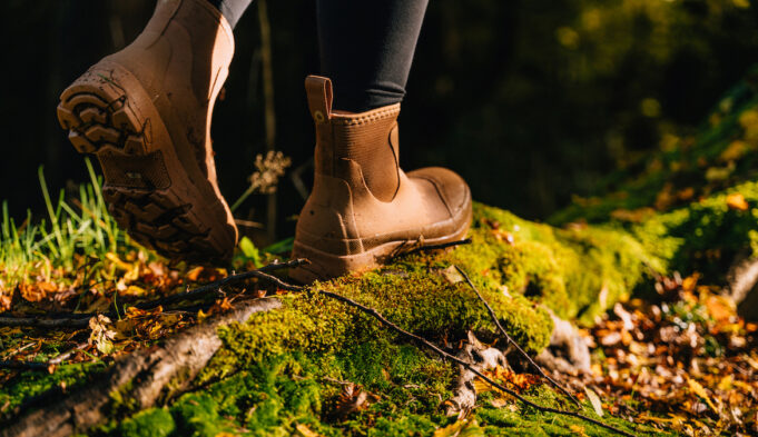 Why Rates of the Tickborne Disease Babesiosis Are on the Rise