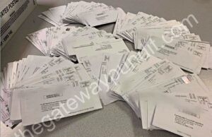 Judges Reject RNC Lawsuits in Michigan and North Carolina on UOCAVA Ballots Allowing Overseas Voters to Cast Ballots in Michigan Despite Never Living There | The Gateway Pundit