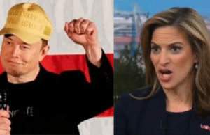 Fact-Check: MSNBC’s Nicolle Wallace Claims Elon Musk Spreading “Verifiably False Information” Regarding Registered Voters in Michigan | The Gateway Pundit