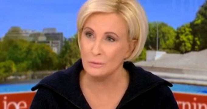 ‘Oh My God’: MSNBC’s Mika Brzezinski Freaks Out After Hearing Undecided Voters Not Supporting Kamala (VIDEO) | The Gateway Pundit