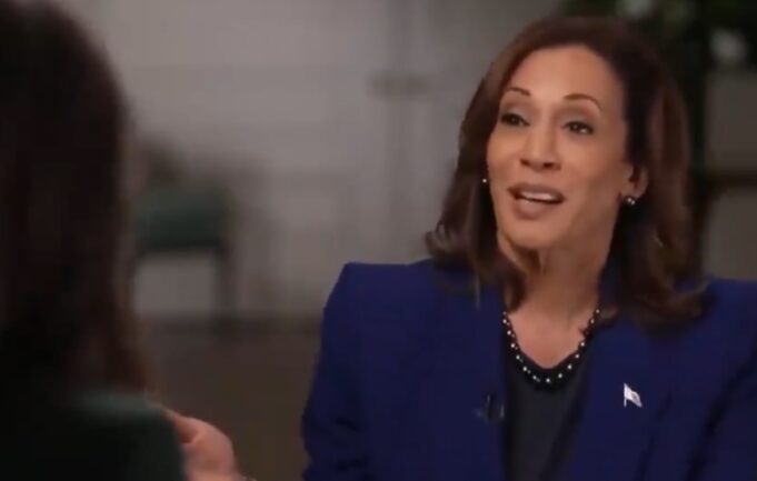 Kamala Harris Bombs in NBC Interview When Asked Why Voters Trust Trump and Not Her on the Economy (VIDEO) | The Gateway Pundit