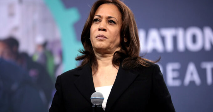 Nevada Election Expert Says Kamala Harris in ‘Serious Danger,’ Democrats Are ‘Bedwetting in Epic Proportions’ | The Gateway Pundit