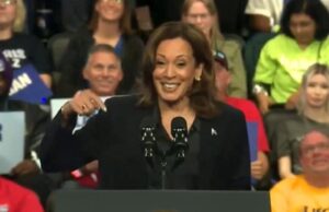 REPORT: Democrats Privately Worried About Kamala’s Chances in Michigan – ‘It’s Not Won’ | The Gateway Pundit
