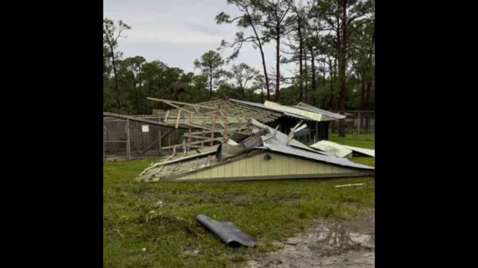 Shelter That Saves Thousands of Animals Each Year Destroyed by Tornado During Hurricane Milton | The Gateway Pundit