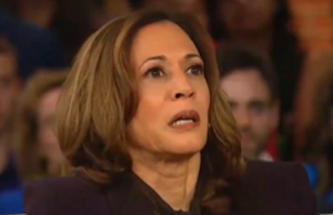 CNN: Source Close to Harris Campaign Panicking and Having “Flashbacks to 2016” After Kamala’s Media Blitz Turns Into Doom Spiral (VIDEO) | The Gateway Pundit
