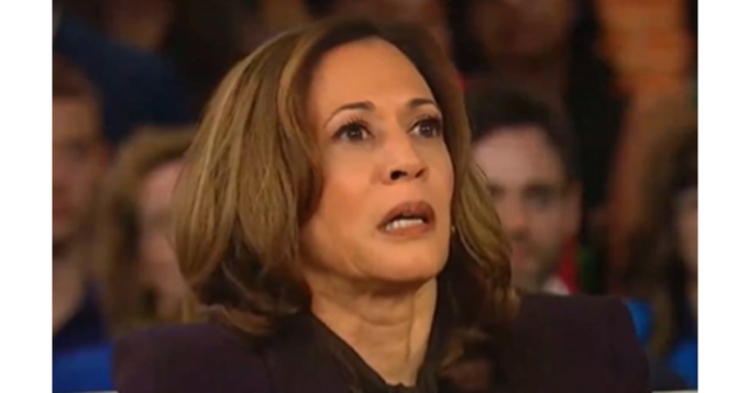 CNN: Source Close to Harris Campaign Panicking and Having “Flashbacks to 2016” After Kamala’s Media Blitz Turns Into Doom Spiral (VIDEO) | The Gateway Pundit