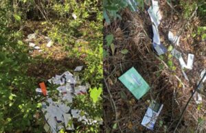 More Democrat Election Shenanigans? U.S. Postal Worker Arrested in Florida After Stealing Over 1,000 Pieces of Mail Including Election Ballots and Dumping the Items in the Woods | The Gateway Pundit