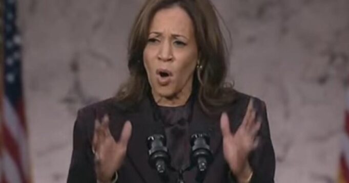 Kamala Harris Sides with the Violent Mob, Condones Riots as Thugs Burn Cars, Block Freeway in Downtown Los Angeles | The Gateway Pundit