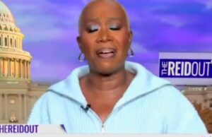 WATCH: MSNBC Host Joy Reid Says Libs Shouldn’t Enjoy Thanksgiving with Trump Supporters —’We Don’t Want to Put Up with Your Trolling While We Eat Our Turkey’ | The Gateway Pundit
