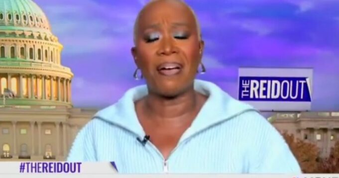 WATCH: MSNBC Host Joy Reid Says Libs Shouldn’t Enjoy Thanksgiving with Trump Supporters —’We Don’t Want to Put Up with Your Trolling While We Eat Our Turkey’ | The Gateway Pundit