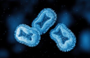 Severe Form of Monkeypox Spreading Like Wildfire Across Africa Reaches American Soil for the First Time | The Gateway Pundit