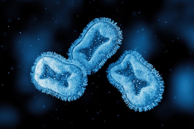 Severe Form of Monkeypox Spreading Like Wildfire Across Africa Reaches American Soil for the First Time | The Gateway Pundit