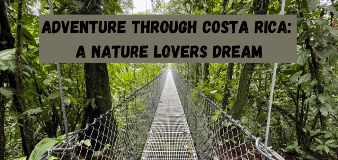 Adventure Through Costa Rica: A Nature Lovers Dream