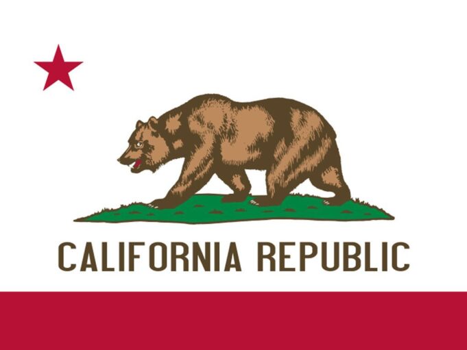 In California, Vote-Counting Dampens Holiday Spirit | The Gateway Pundit