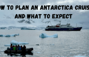 How to Plan an Antarctica Cruise and What to Expect