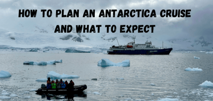 How to Plan an Antarctica Cruise and What to Expect