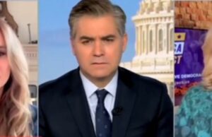 WATCH: CNN Crybaby Jim Acosta and Liberal Panelist Lose their Minds Over Powerful Trump-Musk Partnership to Drain the Swamp and Save America | The Gateway Pundit