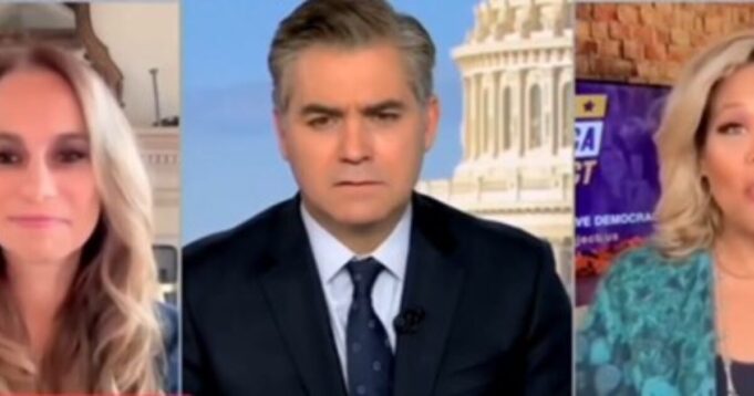 WATCH: CNN Crybaby Jim Acosta and Liberal Panelist Lose their Minds Over Powerful Trump-Musk Partnership to Drain the Swamp and Save America | The Gateway Pundit