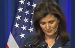 OUCH: Team Trump Burns Neocon Nikki Haley with Brutal Reply After She Trashes Two of the President-Elect’s Epic Cabinet Choices | The Gateway Pundit