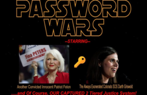PASSWORD WARS: The Difference Between the Fabricated Password ‘Breach’ Charges Against TINA PETERS and the HUGE Actual Password Breach by Colorado SOS Jena Griswold. | The Gateway Pundit