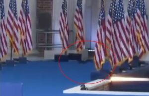 P’nut The Squirrel’s Spirit Lives On: Squirrel Spotted Running Across The Stage Before Kamala Harris Concession Speech (VIDEO) | The Gateway Pundit