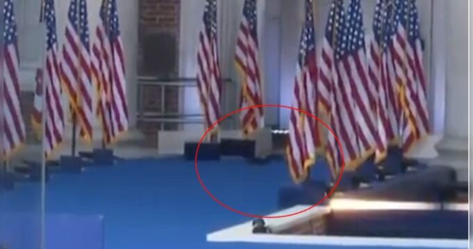 P’nut The Squirrel’s Spirit Lives On: Squirrel Spotted Running Across The Stage Before Kamala Harris Concession Speech (VIDEO) | The Gateway Pundit